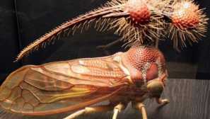 9 Истински създания с нашата планета, която изглежда като извънземни от космоса